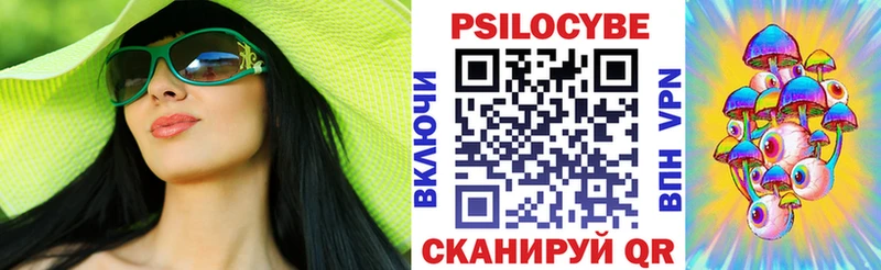 как найти Махачкала Галлюциногенные грибы Psilocybine cubensis