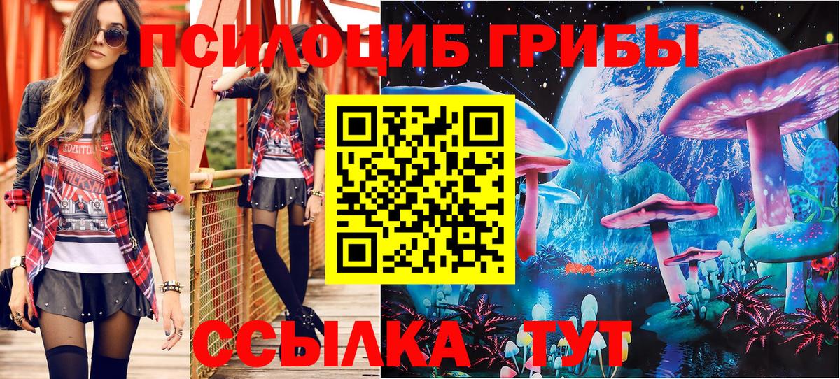 Галлюциногенные грибы Psilocybine cubensis  Вход с VPN  Галлюциногенные грибы прущие грибы  Махачкала 
