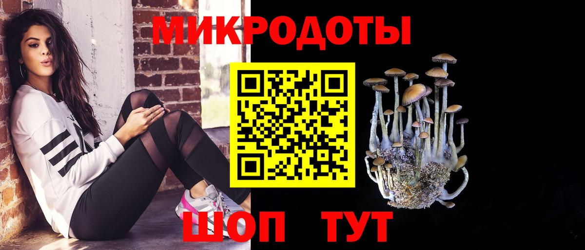 Псилоцибиновые грибы Cubensis Махачкала